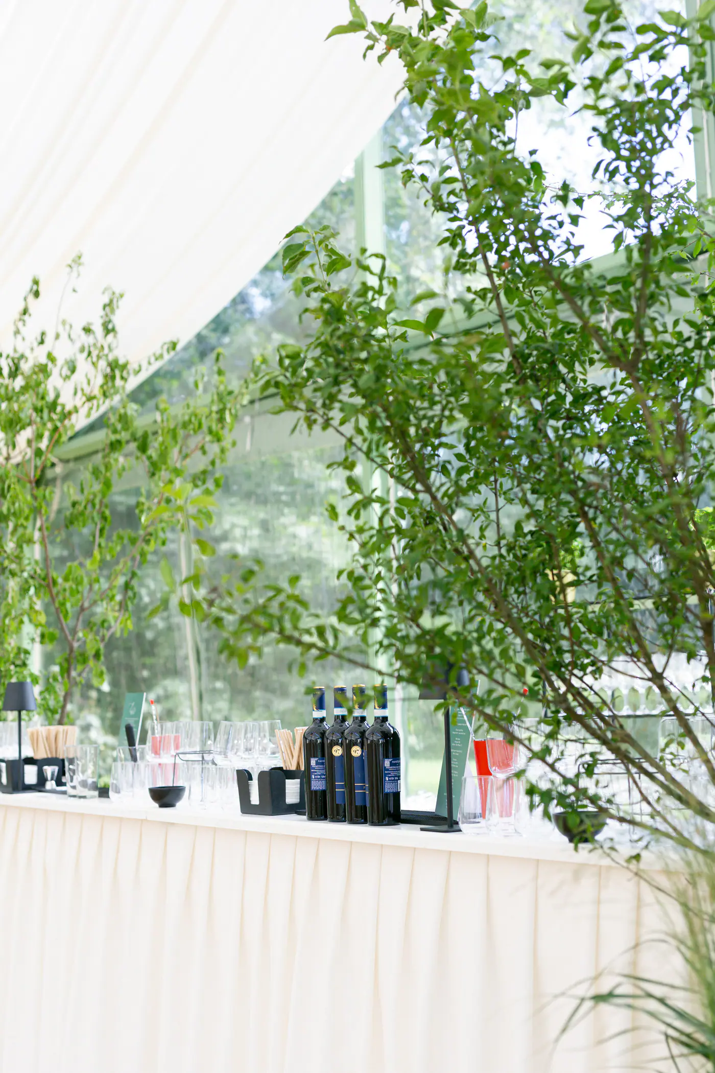 Teresa & Eshan’s Wedding at Bon Repos chateau — photo 36 of 331