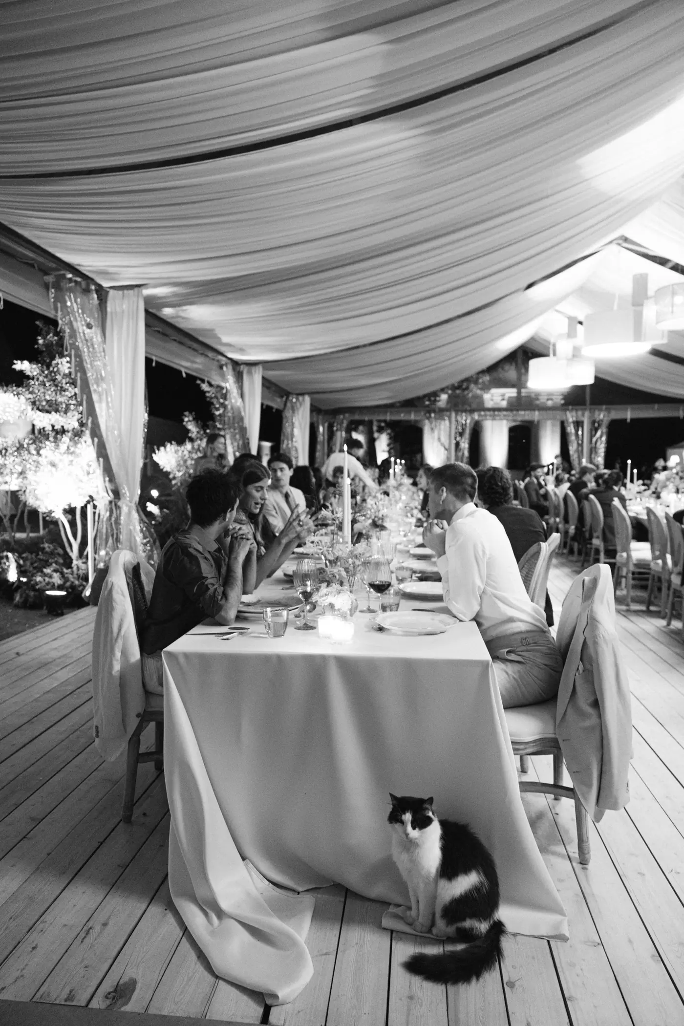 Teresa & Eshan’s Wedding at Bon Repos chateau — photo 279 of 331